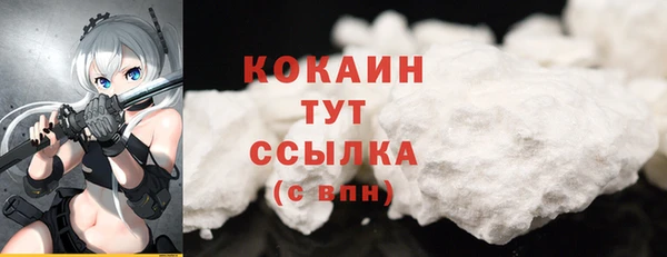 винт Инсар