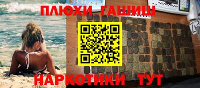 jwh Бийск
