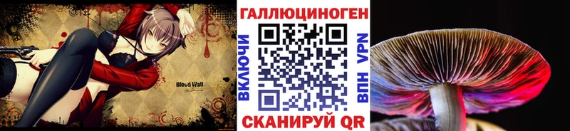 Псилоцибиновые грибы Cubensis  наркотики  Волгодонск 