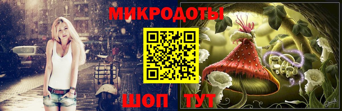 Псилоцибиновые грибы Psilocybe Волгодонск