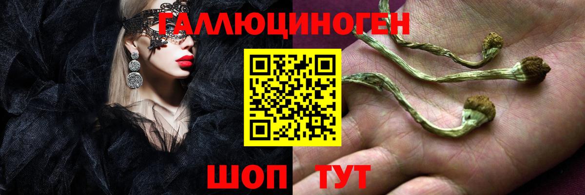 Псилоцибиновые грибы GOLDEN TEACHER  Вход с VPN  Волгодонск 
