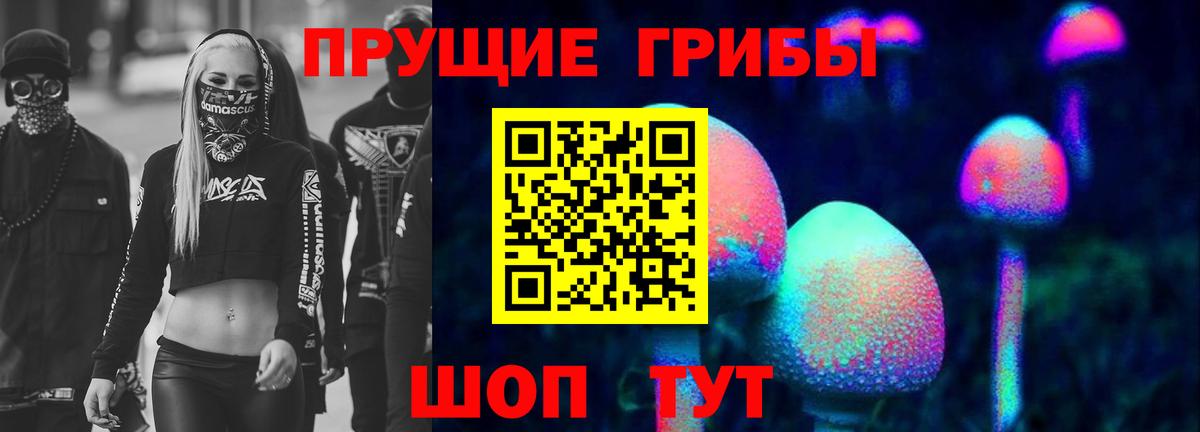 Псилоцибиновые грибы Magic Shrooms  Волгодонск  Псилоцибиновые грибы Psilocybine cubensis 